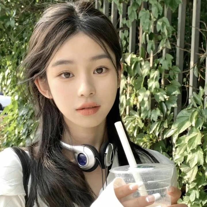 菜鸟总动员